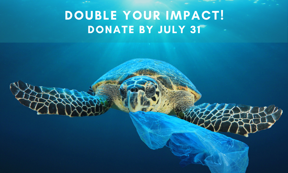  Double Your Impact by July 31